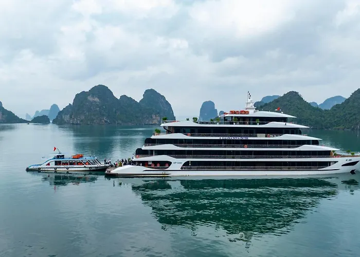 Halora Nova Cruise